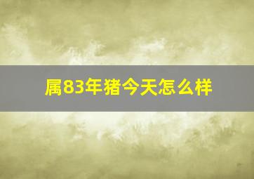 属83年猪今天怎么样