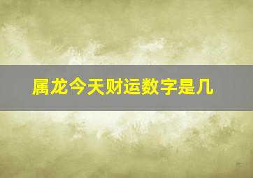 属龙今天财运数字是几