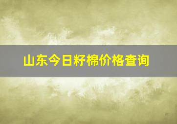 山东今日籽棉价格查询