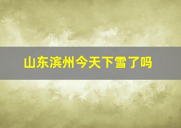 山东滨州今天下雪了吗