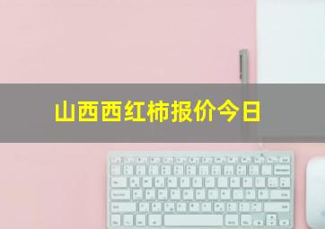 山西西红柿报价今日