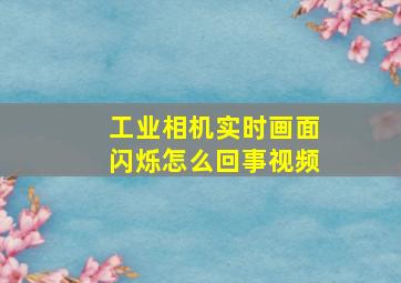 工业相机实时画面闪烁怎么回事视频