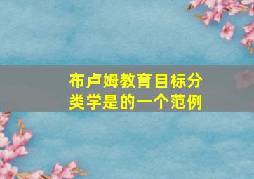 布卢姆教育目标分类学是的一个范例