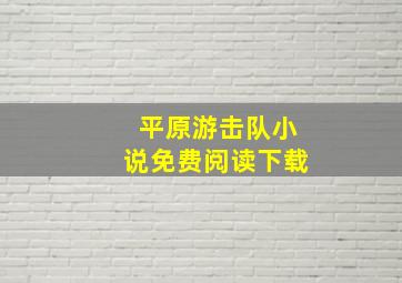 平原游击队小说免费阅读下载