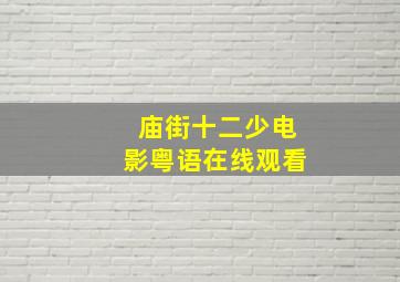 庙街十二少电影粤语在线观看