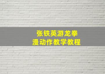 张铁英游龙拳漫动作教学教程