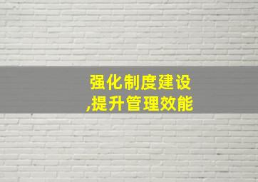 强化制度建设,提升管理效能