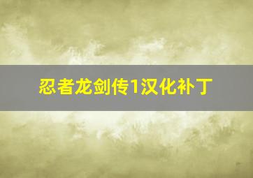 忍者龙剑传1汉化补丁