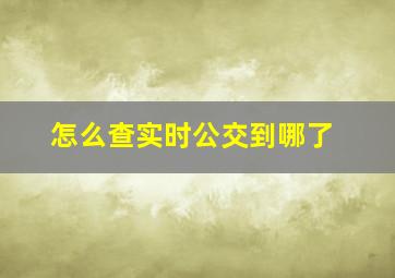 怎么查实时公交到哪了