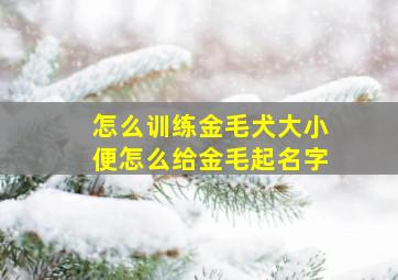 怎么训练金毛犬大小便怎么给金毛起名字