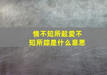 情不知所起爱不知所踪是什么意思