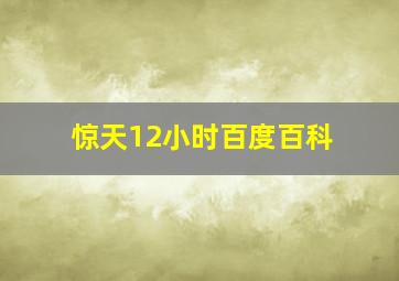 惊天12小时百度百科