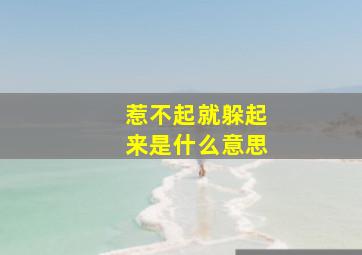 惹不起就躲起来是什么意思