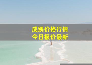 成鹅价格行情今日报价最新