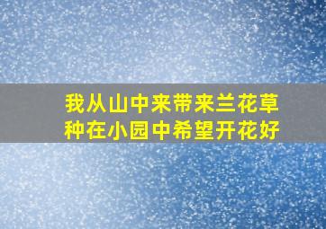 我从山中来带来兰花草种在小园中希望开花好