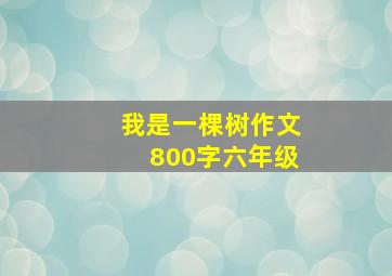 我是一棵树作文800字六年级