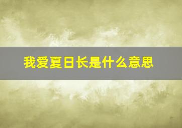 我爱夏日长是什么意思