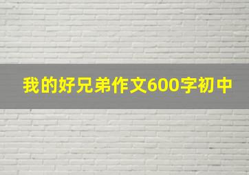 我的好兄弟作文600字初中