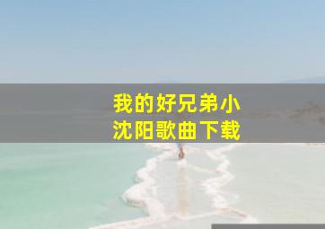 我的好兄弟小沈阳歌曲下载