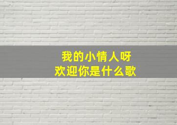 我的小情人呀欢迎你是什么歌