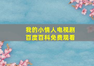 我的小情人电视剧百度百科免费观看