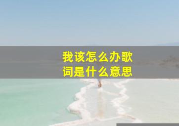 我该怎么办歌词是什么意思