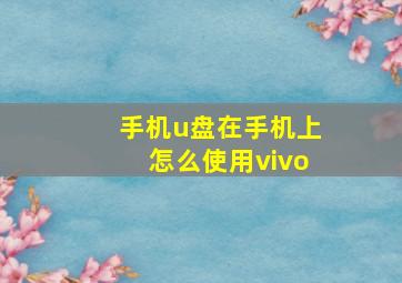 手机u盘在手机上怎么使用vivo