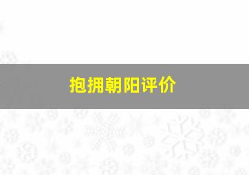 抱拥朝阳评价