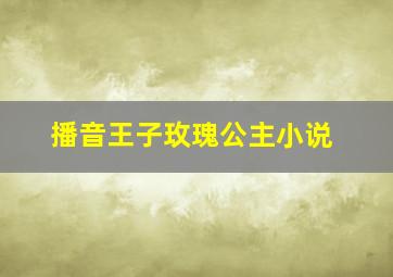 播音王子玫瑰公主小说