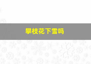 攀枝花下雪吗