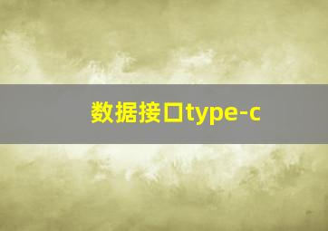 数据接口type-c