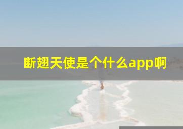 断翅天使是个什么app啊