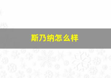 斯乃纳怎么样