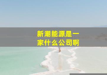 新潮能源是一家什么公司啊