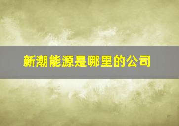 新潮能源是哪里的公司