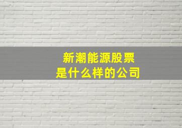 新潮能源股票是什么样的公司