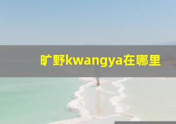 旷野kwangya在哪里