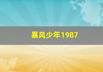 暴风少年1987