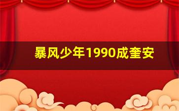 暴风少年1990成奎安