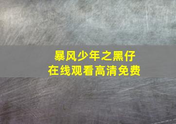 暴风少年之黑仔在线观看高清免费