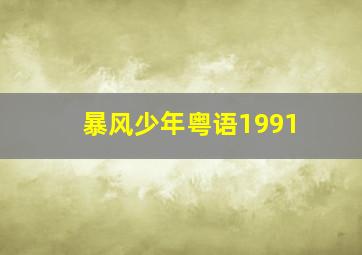 暴风少年粤语1991