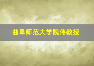 曲阜师范大学魏伟教授