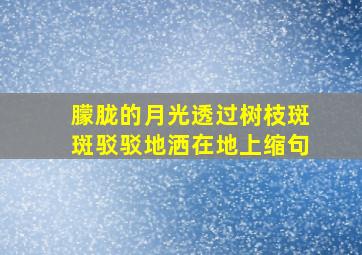 朦胧的月光透过树枝斑斑驳驳地洒在地上缩句