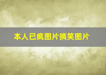 本人已疯图片搞笑图片