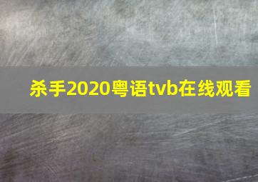 杀手2020粤语tvb在线观看