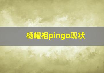 杨耀祖pingo现状