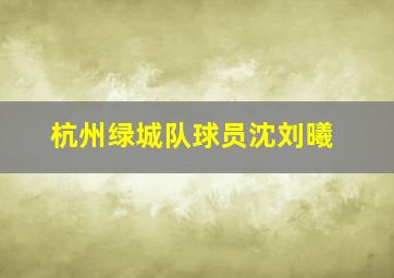 杭州绿城队球员沈刘曦