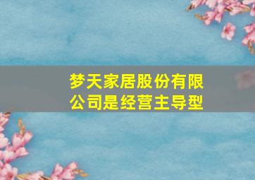 梦天家居股份有限公司是经营主导型