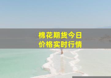 棉花期货今日价格实时行情