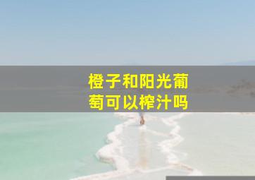 橙子和阳光葡萄可以榨汁吗